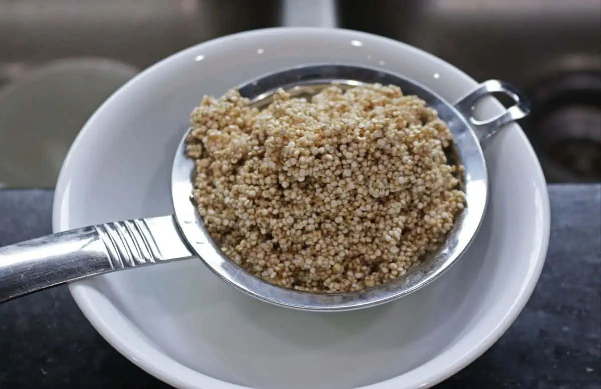 quinoa draining in a colander