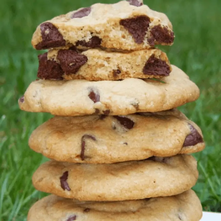 Chocolate Chip Cookies in a Plate