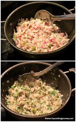 frying seasoning and onions