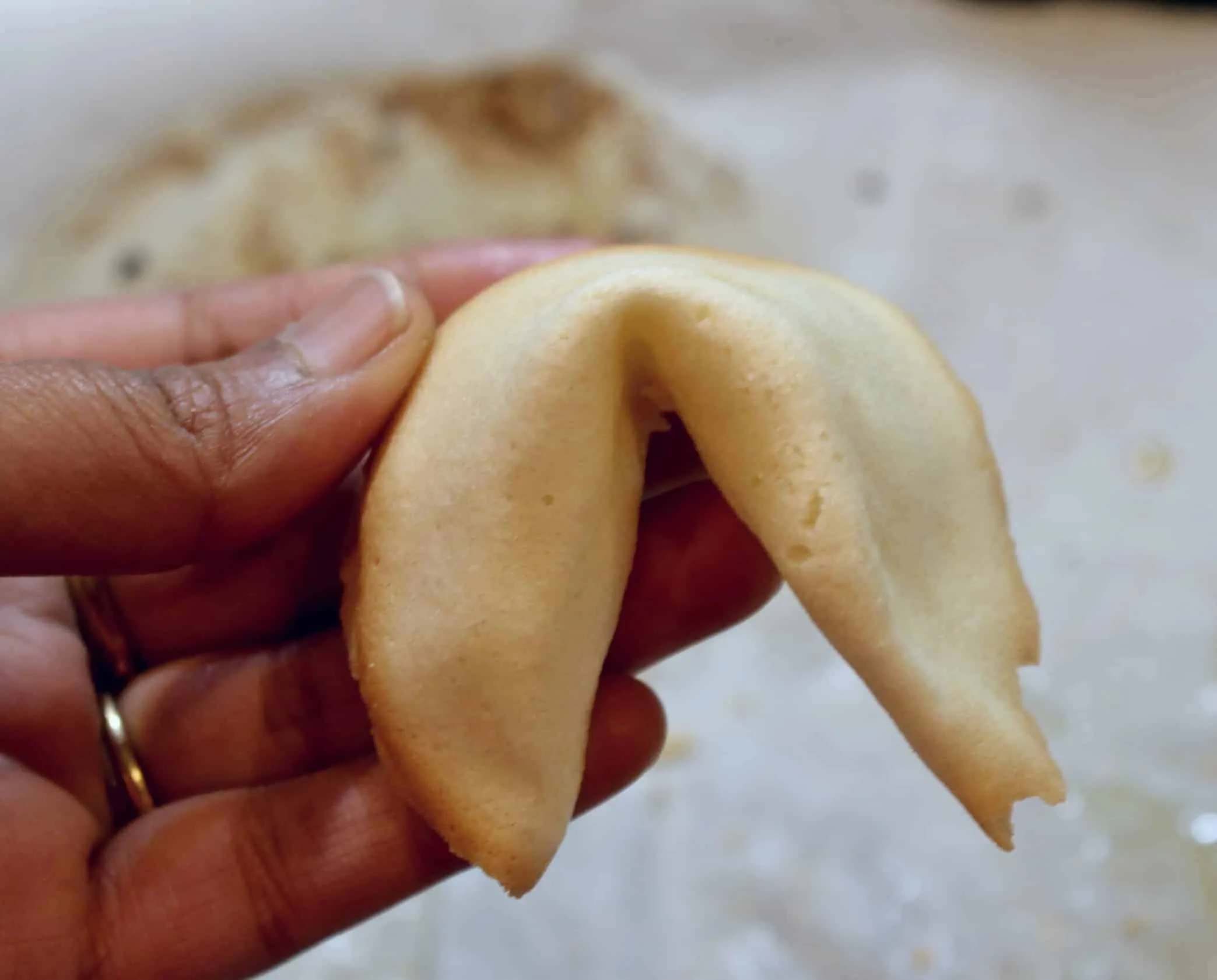 baked and shaped fortune cookies