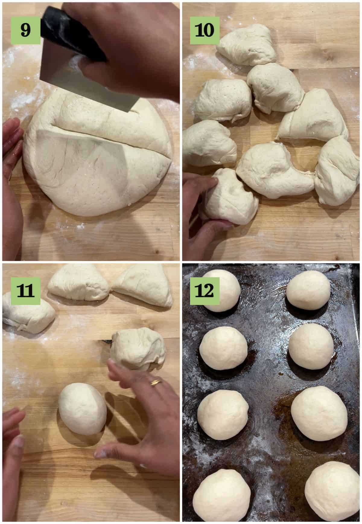 Shaping the bialy dough to form 8 rolls. 