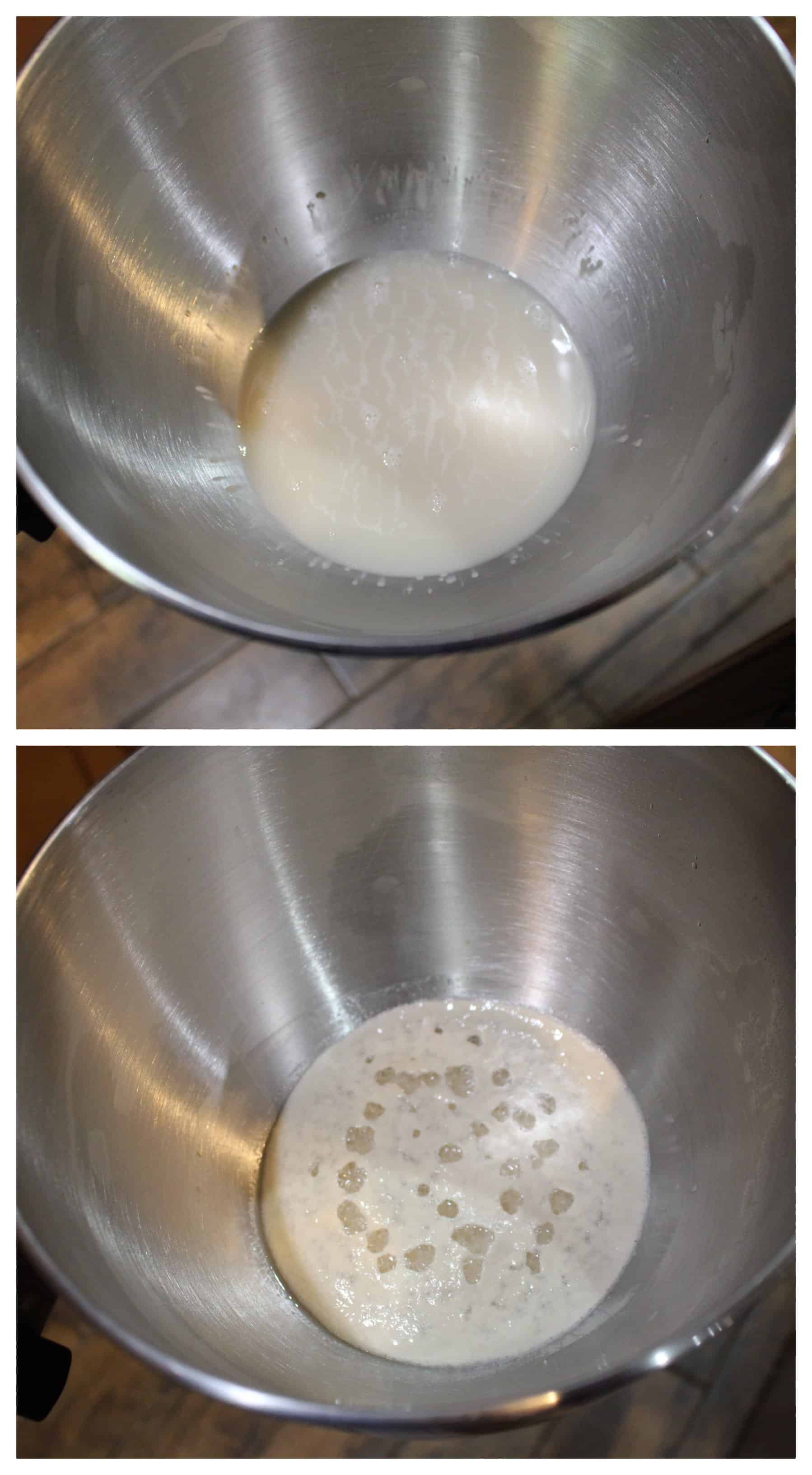 active dry yeast bubbling