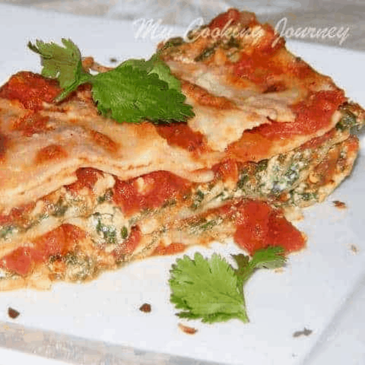 Spinach And Ricotta Lasagna With Tomato Sauce