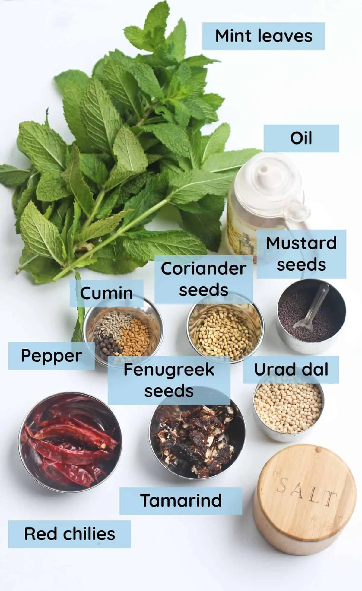 Ingredients needed to make pudina thokku