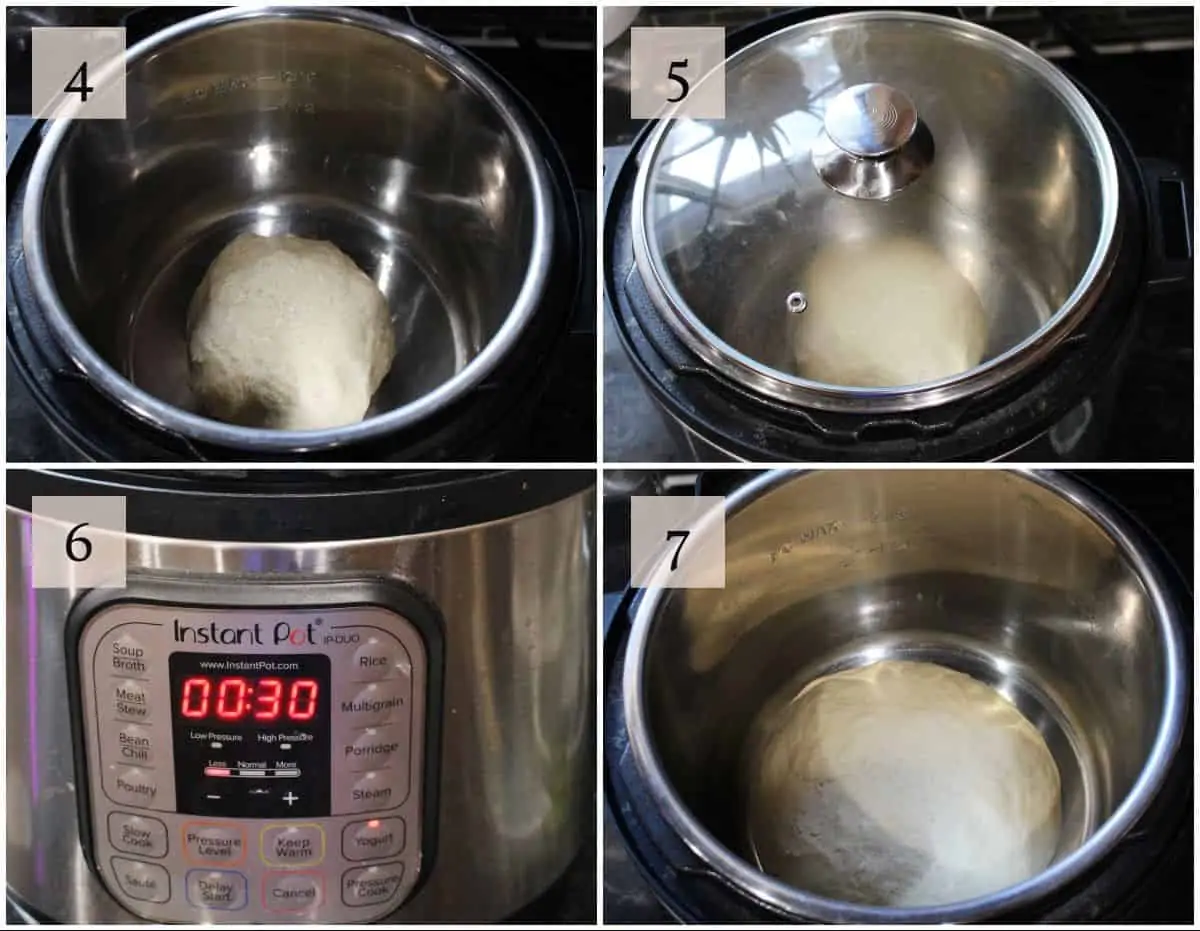 proofing bread dough in Instant pot