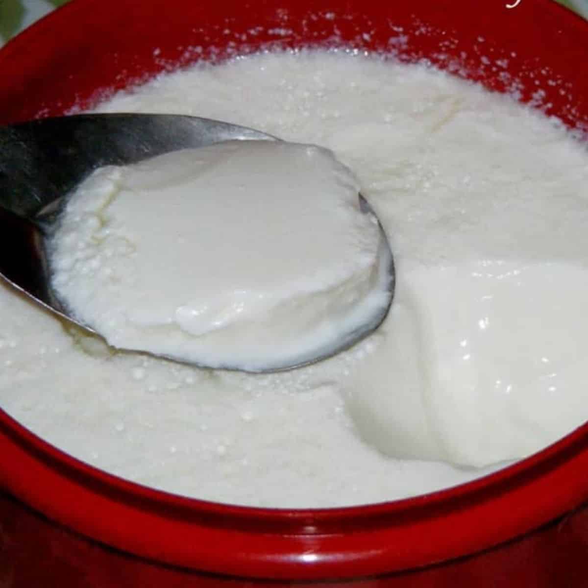 Curd Raita